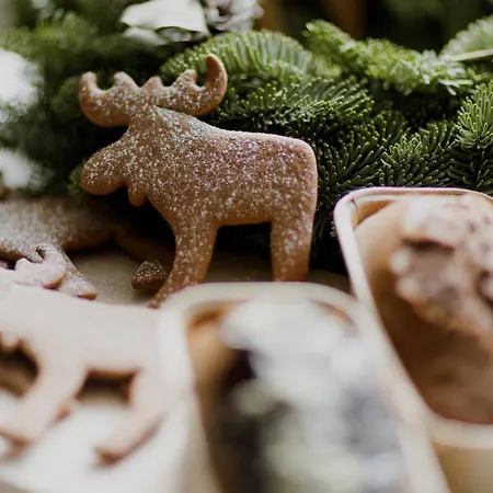 Lejlighed Gorska Legenda & *